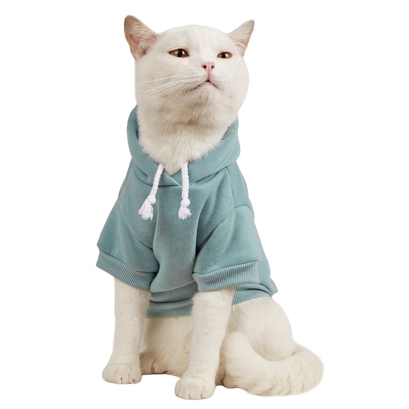 QWINEE Basic Dog Hoodie, Dog Warm Jacket, Cat Apparel, Dog Shirt, Dog Clothes for Puppy Kitten Small Medium Dogs Cats Cadet Blue M