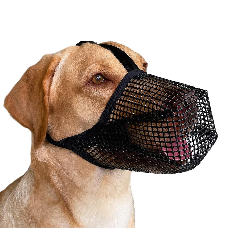 Dog Muzzle – Puppy Muzzle Bait Protection Muzzle with Adjustable Strap-Prevent Biting Chewing and Licking -Soft Mesh Covered Muzzles for Small/Medium/Large Dogs(M) Medium