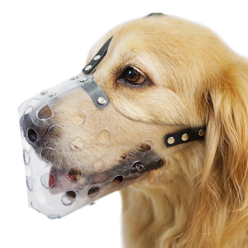 Mayerzon Dog Muzzle, Basket Muzzle for Small Medium Large Sized Dogs, Muzzle for Dogs to Prevent Biting for Grooming Scavenging, Breathable Muzzle for Husky Golden Retriever Labrador Beagle Clear L-(Snout Cir: 10-11)