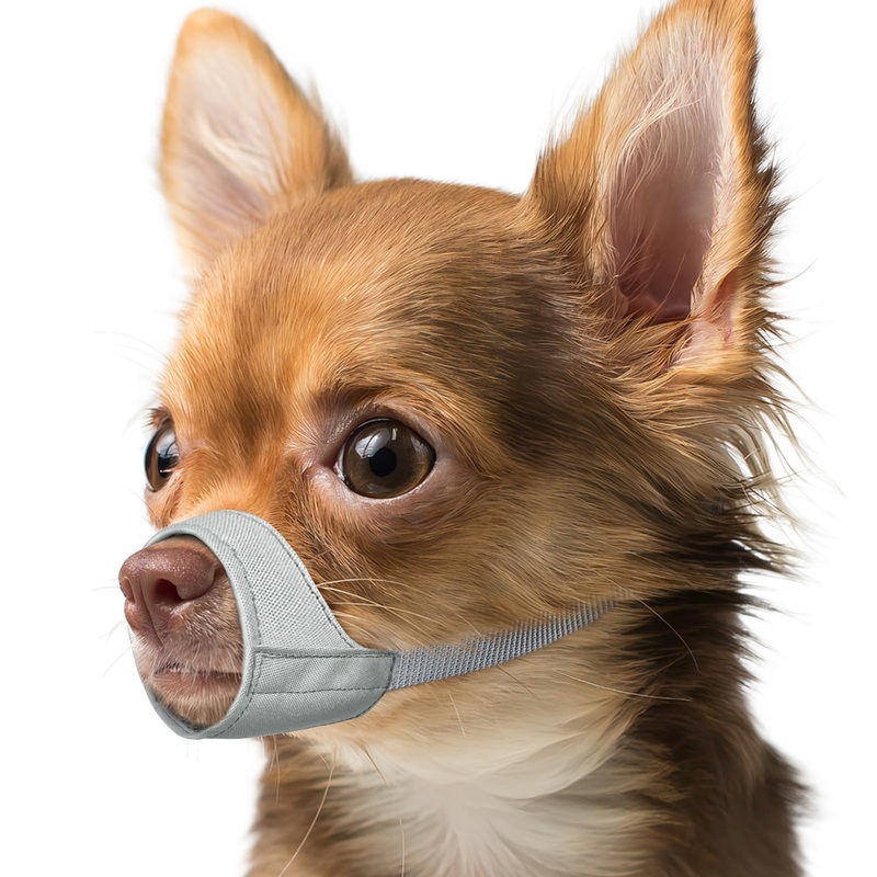 Mayerzon Short Snout Dog Muzzle, Small Muzzle for Chihuahua Shih Tzu American Bully Boxer Puppy, Soft Fabric Muzzles for Grooming Vet Visits, Prevent Biting Chewing Fighting Grey XXS [Snout Cir: 3.5-4.25″]