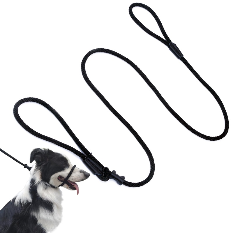 Multifunctional Figure 8 Padded Head Halter Walking Training Leather Stopper Slip Lead Dog Rope Leash Muzzle (Black) Black L/6FT