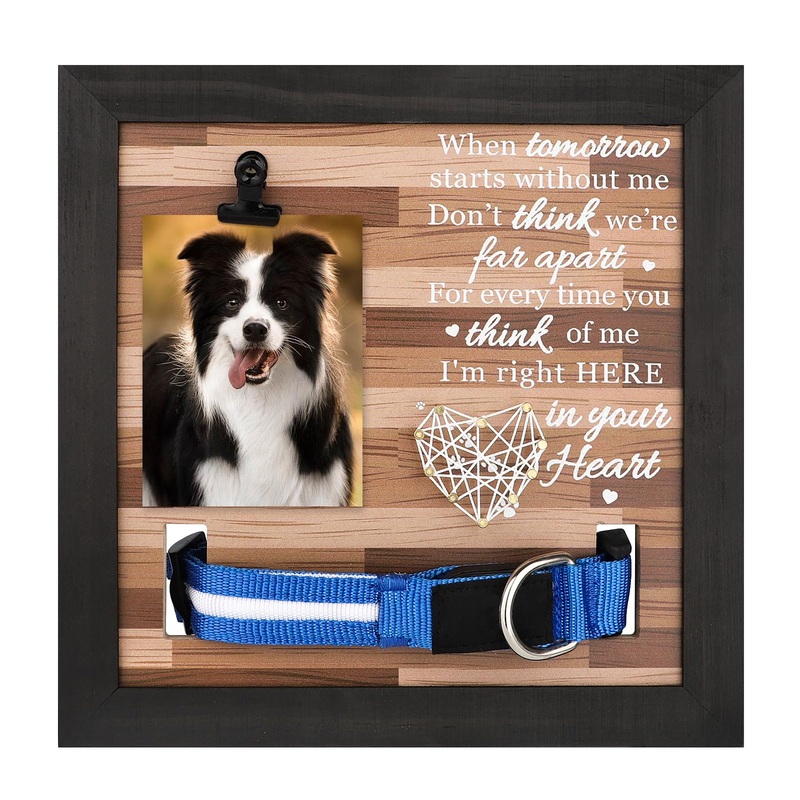 Pet Memorial Frame – Pet Memorial Gifts – Cat Memorial – Dog Memorial Gifts for Loss of Dog – Dog Memorial Picture Frame – Dog Frames for Pictures Memorial (When Tomorrow) A – When Tomorrow