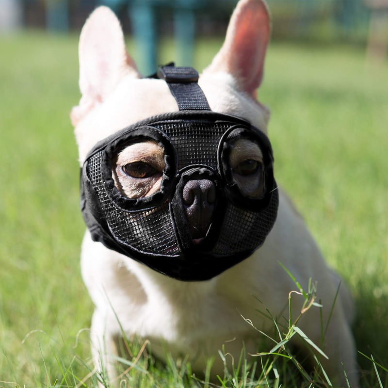 Short Snout Dog Muzzle- Adjustable Breathable Mesh Bulldog Muzzle for Biting Chewing Licking Grooming Dog Mask,Black M Medium/11″-17″ Black(Eyehole)