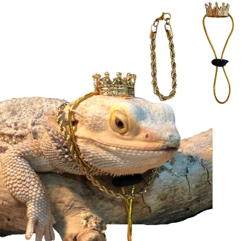 2Pcs Lizard Crown Necklace Set Metal Lizard Outfit Reptile Clothes Accessories Lizard Photo Props for Bearded Dragons Iguana Amphibians and Other Small Animals (Gold) Gold