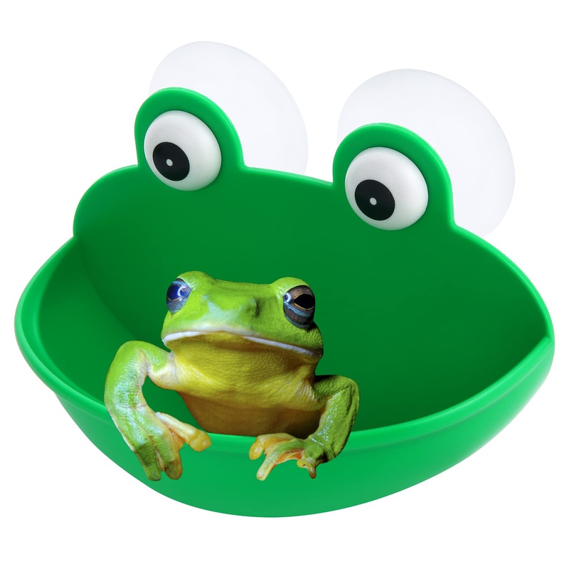 Frog Habitat Frog Dish Holder with Suction Cups, Cute Frog Terrarium Decor Fish Tank Decoration for Tree Frog Toad Tadpole (1 Pack) 1 Pack