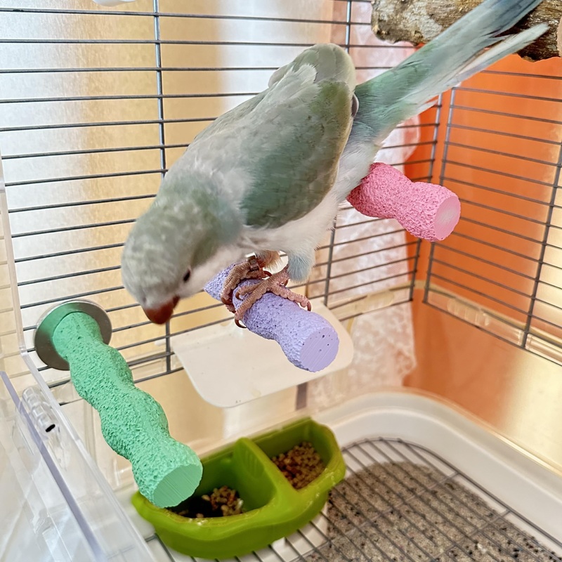 3Pcs Bird Perches for Cage, Parrot Perch Stand, Cage Stand Platform (Large Size)