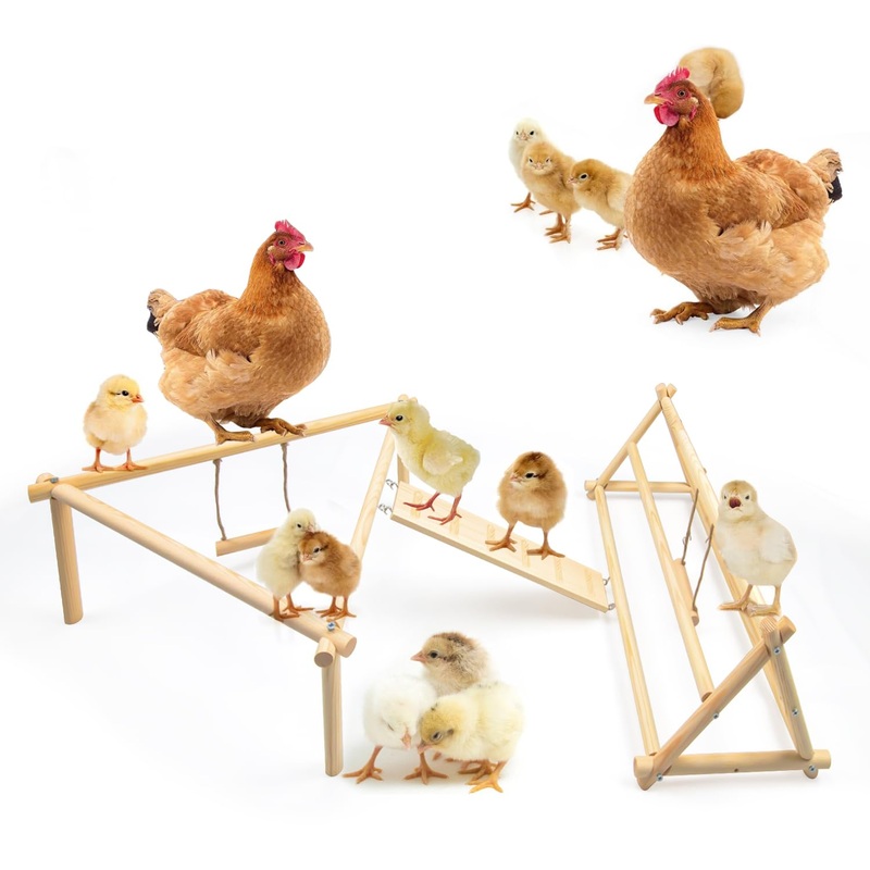 Chicken Perch Strong Pine Wooden Chick Jungle Gym Roosting Bar, Training Perch Toys for Baby Chicks, 3-IN-1Chick Perch, for Large Bird Baby Chicks Parrot