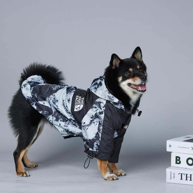 Dog Raincoat, Waterproof & Winproof Rain Jacket, Adjustable Drawstring, Dog Clothes, Pet Stylish Streetwear Outfit for Puppy, Small, Medium, Large Dogs (Black, Large) Black