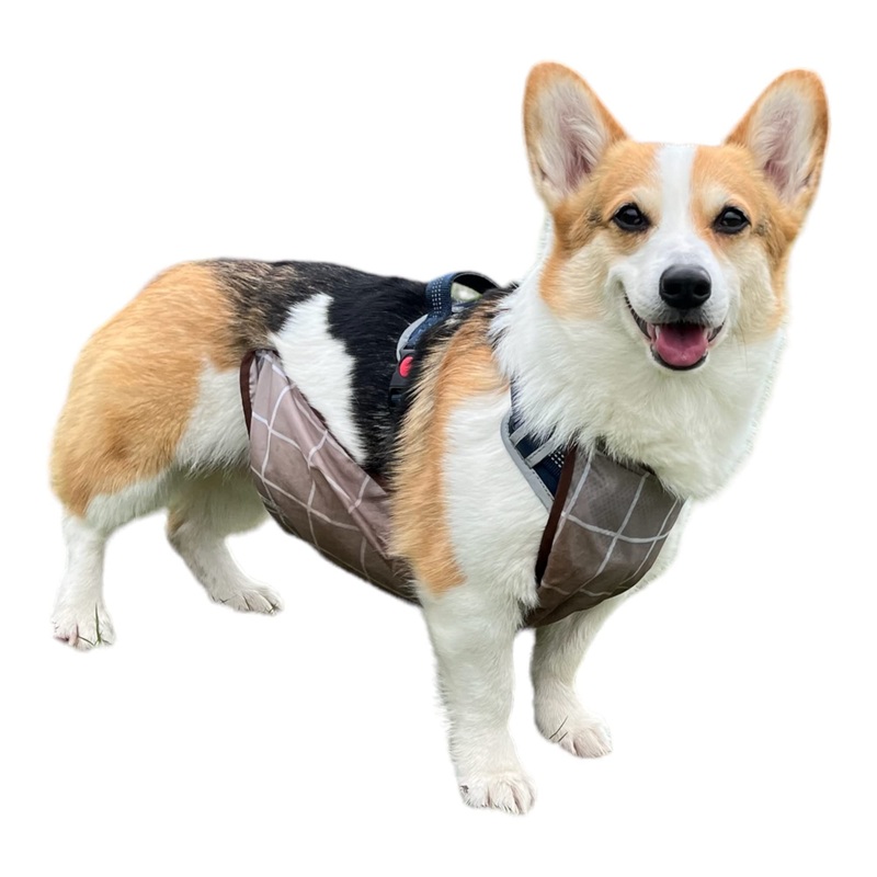 Waterproof Pet Dog Belly Vest Jacket Cover, Lightweight Breathable Outdoor Indoor – Clean & Dry in Rain Snow Mud (Grey Grid, L) Grey Grid Large