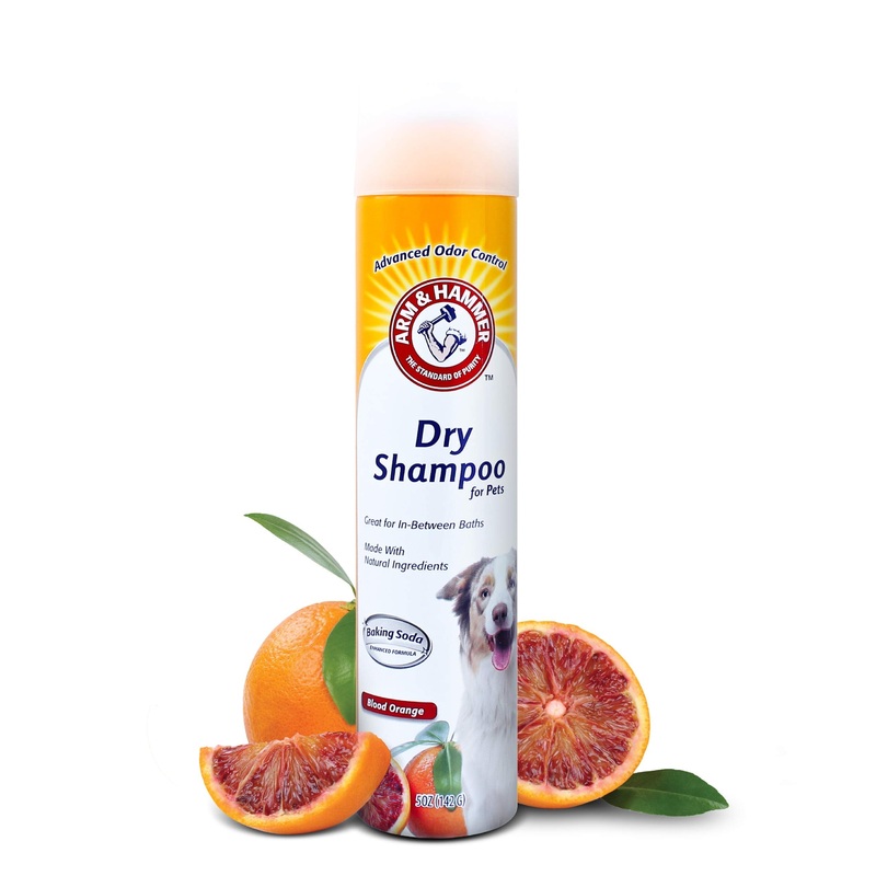 Arm & Hammer for Pets Aerosol Dry Shampoo for Dogs & Puppies | Waterless | Citrus Blood Orange Scent, 5 Ounce Bottle 5 Ounce (Pack of 1)