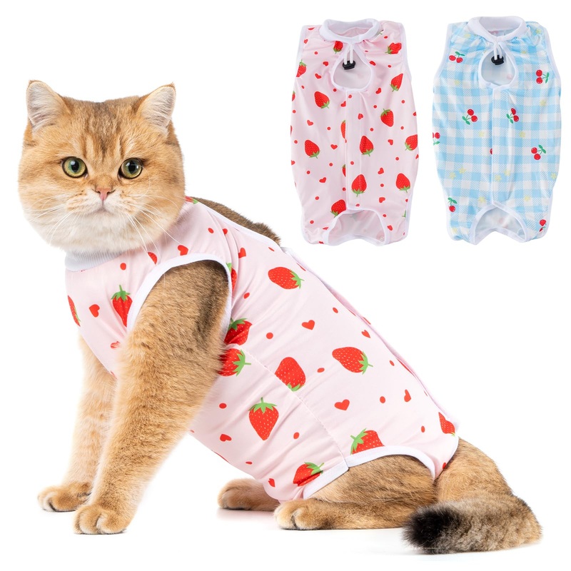 Avont 2 Pack Cat Recovery Suit – Kitten Onesie for Cats After Surgery, Surgical Spay Recovery Suit Female for Abdominal Wounds or Skin Diseases Protection -Cherry/Strawberry(S) Cherry/ Strawberry Small