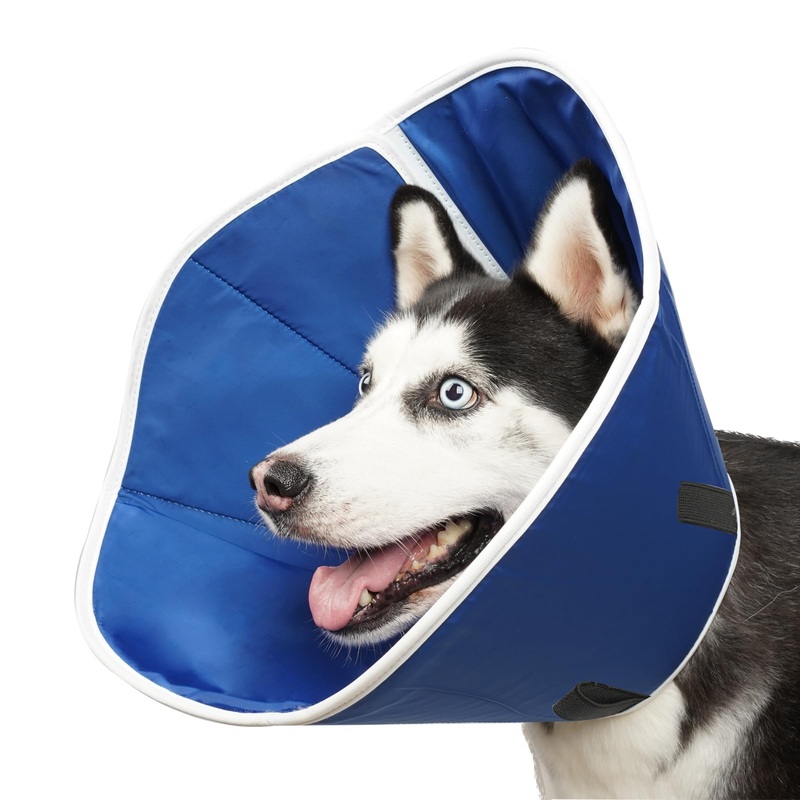BARKLESS Dog Cone, Dog Cones for Small Medium Large Dogs, Cones for Puppies and Kittens after Surgery to Stop Licking, Adjustable Neuter Cone Alternatives, Light Recovery Collar, Elizabethan Collar S – Neck: 8″-10″ Royal blue