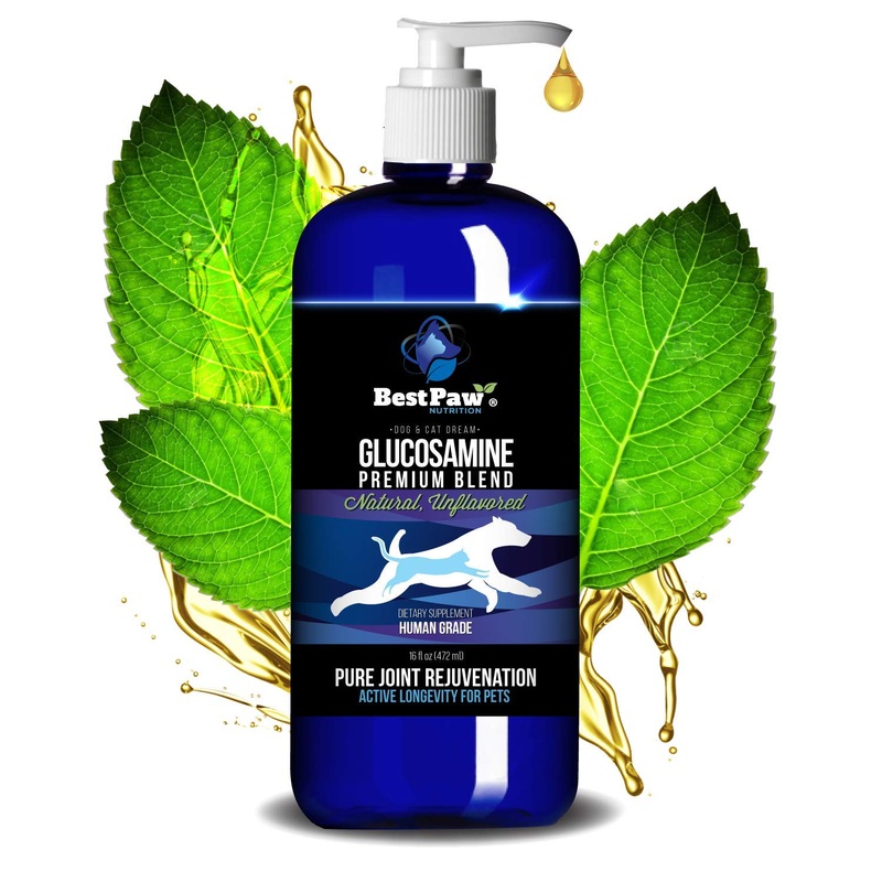 Best Paw Nutrition – Unflavored Liquid Glucosamine for Dogs & Cats – Chondroitin, MSM, Hyaluronic Acid – Dog Arthritis Home Remedy – Joint Supplement for Hip & Joint Pain Relief Pets Love – 16oz