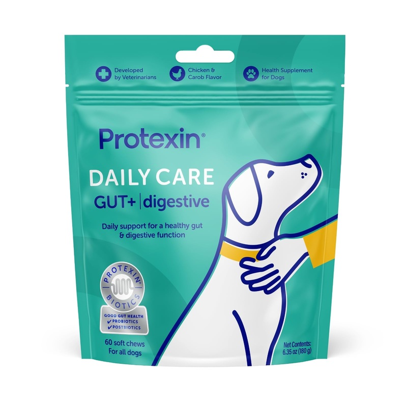 Daily Care Gut+ Digestive, 60 probiotic and postbiotic Dog Supplement Chews  Chicken and Carob Flavored