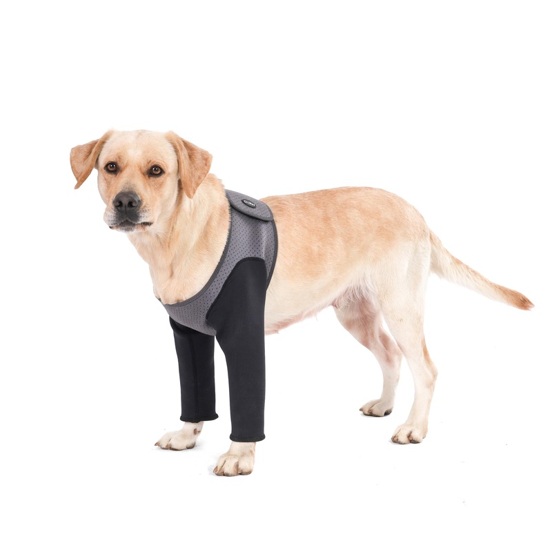 dog sleeves for wounds both front legsCone Collar Alternative, Abrasion Resistant Dog Recovery Sleeve, Washable 2.5mm Thick and Waterproof, Breathable Pet Wounds Prevent Licking, Bite Grey (2XLarge) 2XLarge