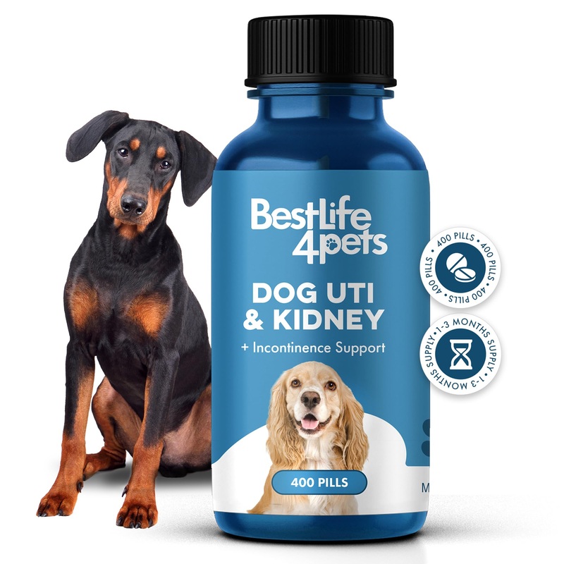 Dog UTI Treatment, Bladder & Kidney Support, Natural Incontinence and Bladder Control for Dogs Reduces Urinary Tract Infections, Flush Out Stones & Improves Dog Kidney Health, 400 Tiny Pills 1 Pack