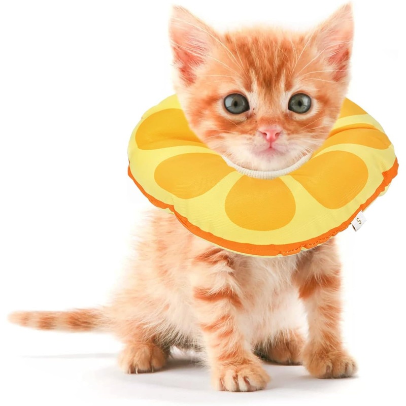 Extra Small Kitten Cone After Surgery Neuter, Soft Elizabethan Collar for Kitten 0-6 Months Old, Small Cat Recovery Collar, Kitten E Collar Alternative, Kitten Donut Collar to Stop Licking S for Kitten [Neck: Up to 7.5″]