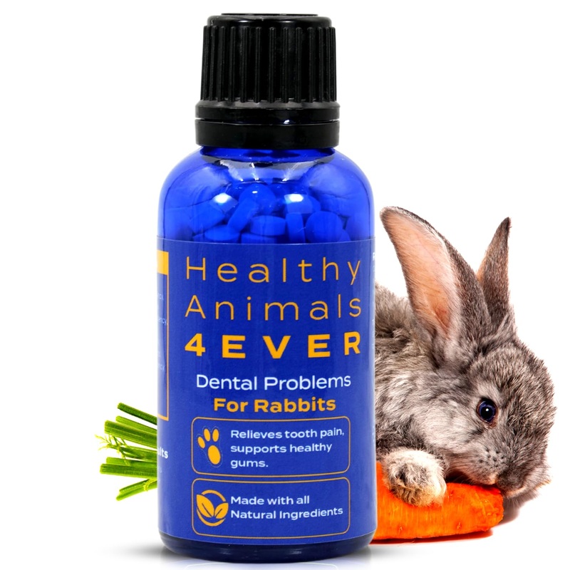 HealthyAnimals4Ever All-Natural Rabbit Dental Problems Treatment | Effective Homeopathic Support | Preventive Care for Dental Issues and Overgrown Teeth | Rabbit Oral Health Tablets | 300 Count