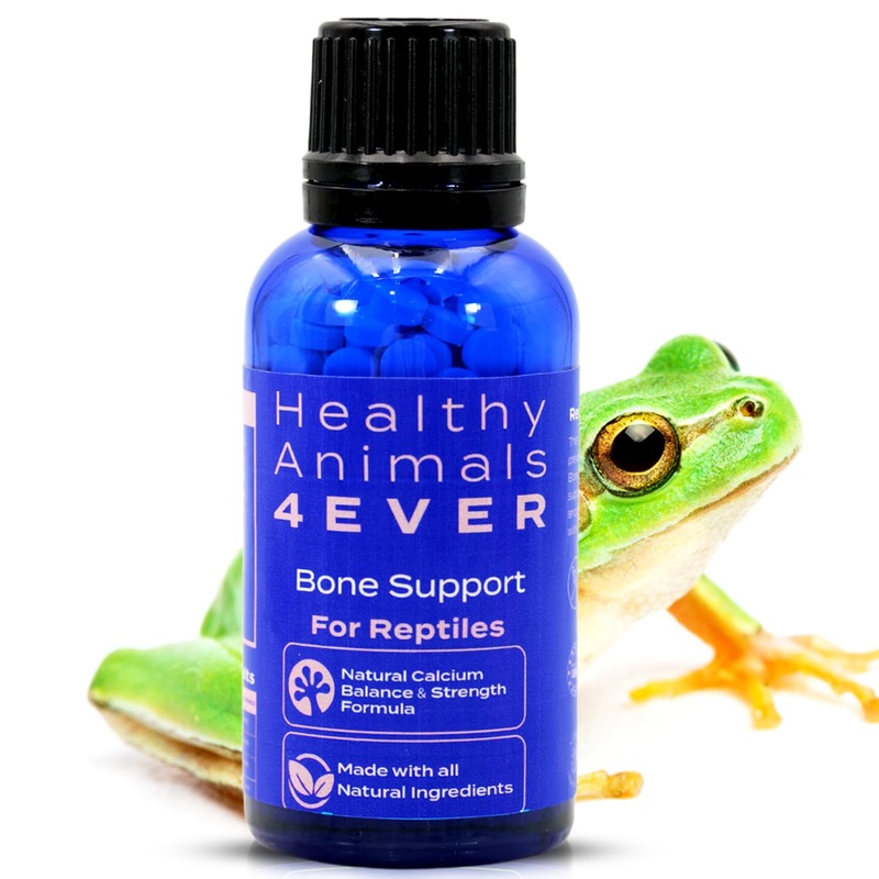HealthyAnimals4Ever Bone Support for Reptiles – Natural Calcium Balance & Bone Strength Formula – Supports Bone Health, Mobility & Vitality – 300 Count