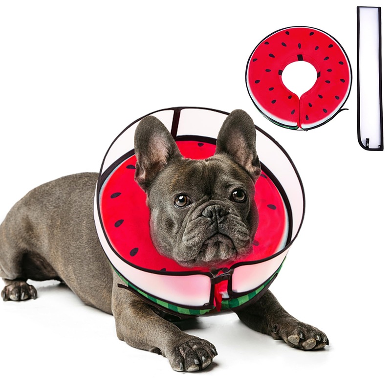 Inflatable Dog Cone Collar with Enhanced Anti-Licking, Soft Neck Donut for Dogs Cats, Recovery Pet Cone Collar After Surgery for Large Medium Small Dogs (Watermelon, Medium) Watermelon