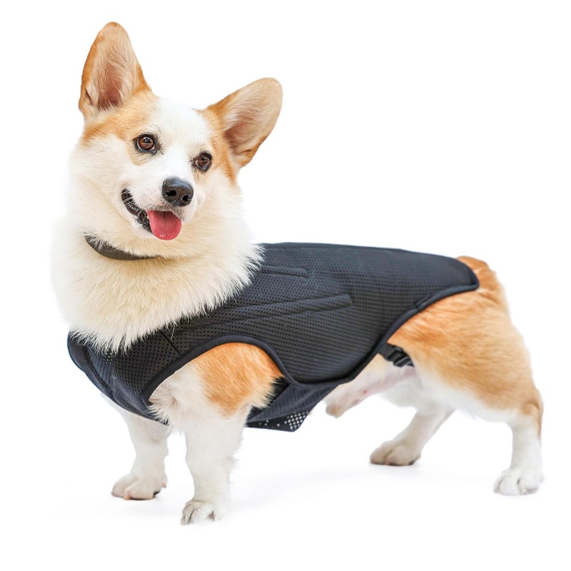 IVDD Back Brace for Dogs, Flexible Pet Dachshund Back Supporting Vest, Dog Back Bracer for Small Pet with Arthritis, Back Pain,Herniated Disc,Spinal Surgical Recovery (M) Medium