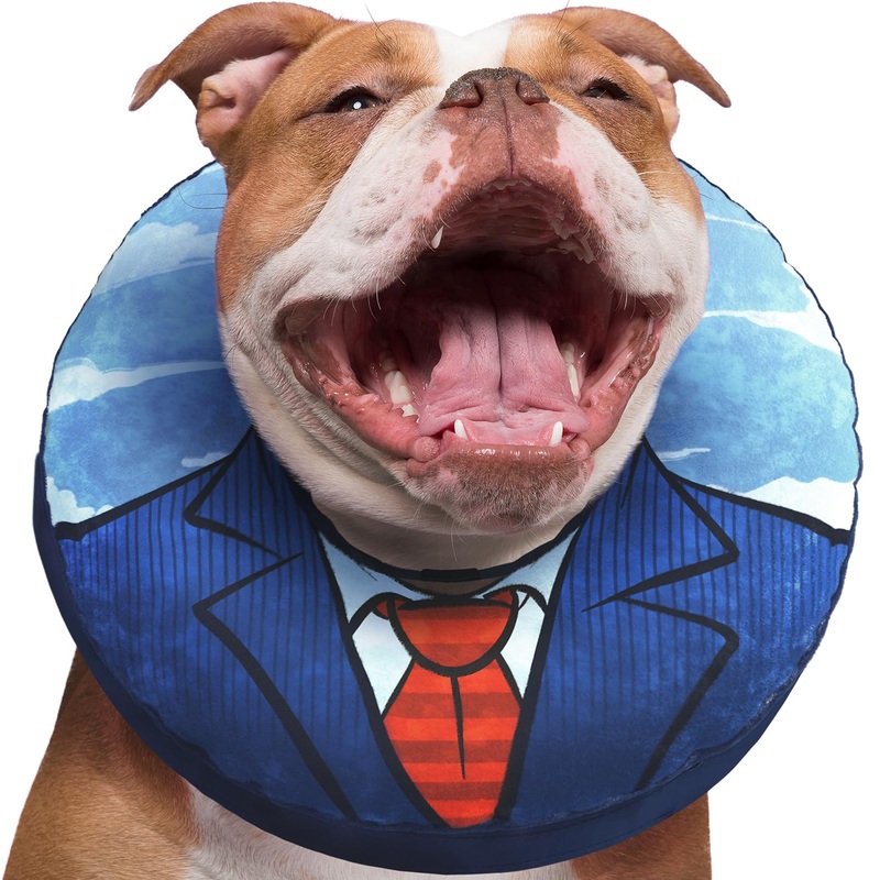 Large Dog Donut Collar – Inflatable Dog Cone Alternative for After Surgery Recovery. Donut Dog Cones for Large Dogs. Inflatable Dog Collars for After Surgery Donut Cone for Dogs. Soft Cone Dog L(Neck 14″-18″)