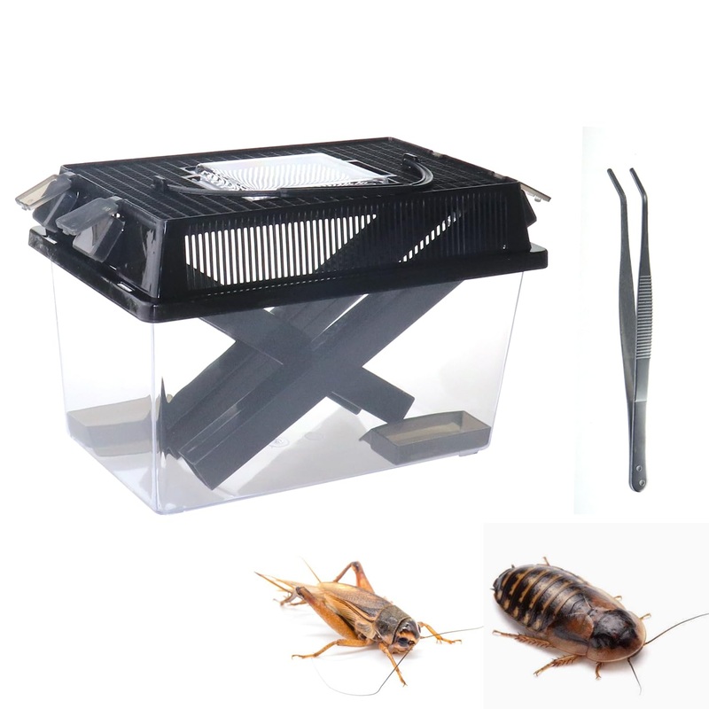 NANEEZOO Cricket Keeper, Equipped with Water & Food Feeding Dish, High Transparency Cricket Pen with Dispenser Tubes, Insect Keeper for Gecko Snake Lizards Reptiles (Large) Large