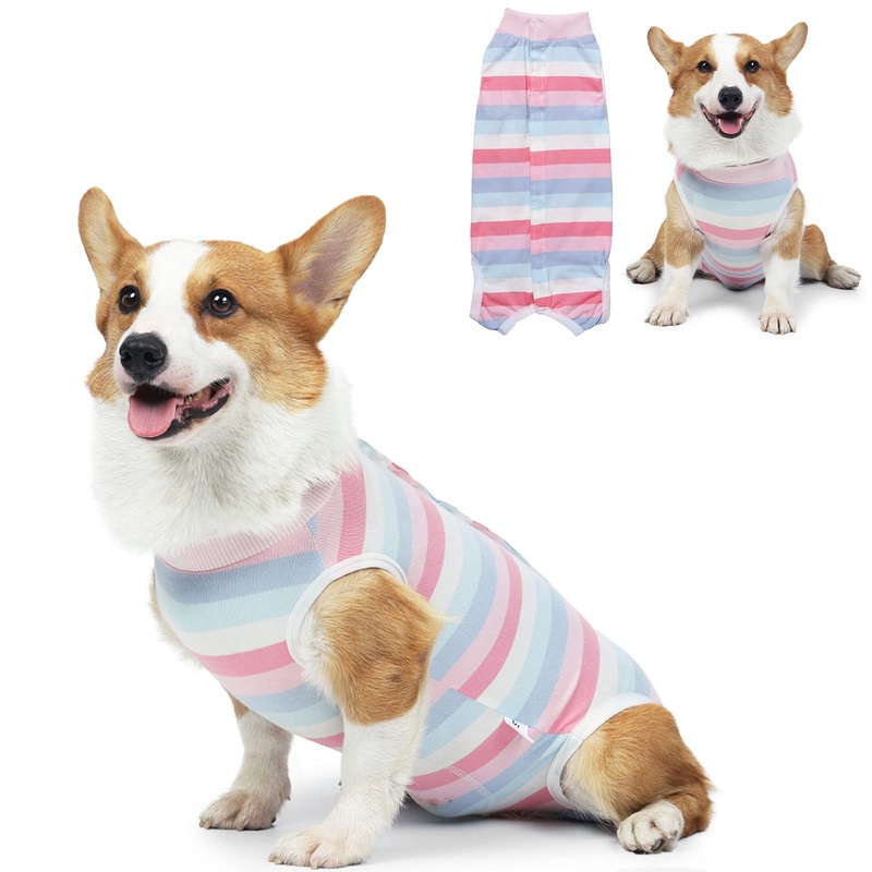 Dog Recovery Suit Dog Onesie for Surgery Recovery, Dog Surgery Recovery Suit for Small Medium Dogs, E-Collar Alternative After Surgery Wear Anti Licking Abdominal Wounds Pet Surgery Recovery Suit M Chest 14″ Neck 9″ Weight 5-9 lb Pink