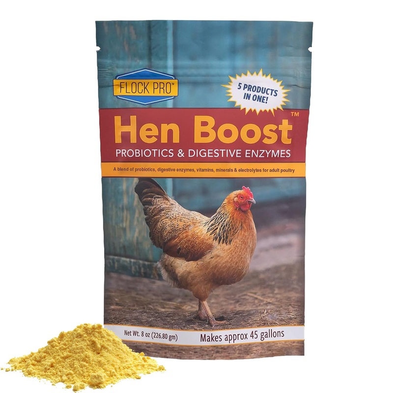 Flock PRO Hen Boost – Digestive Supplement for Hens | Chicken Vitamins and Supplements | Probiotics, Digestive Enzymes, Electrolytes for Adult Poultry-8 OZ 1 Count (Pack of 1)