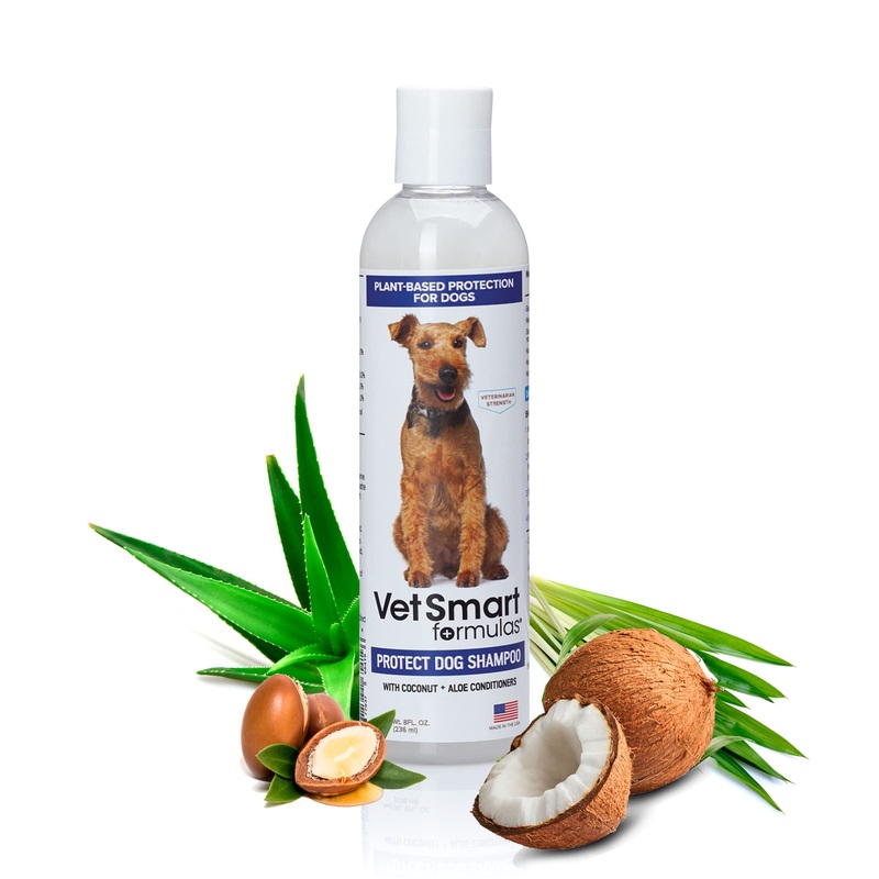 Protect Shampoo for Dogs; No More Scratching, Itching, or Hot Spots with Plant-Based All-Natural Formula with Healthy Essential Oils – Made in USA One Bottle