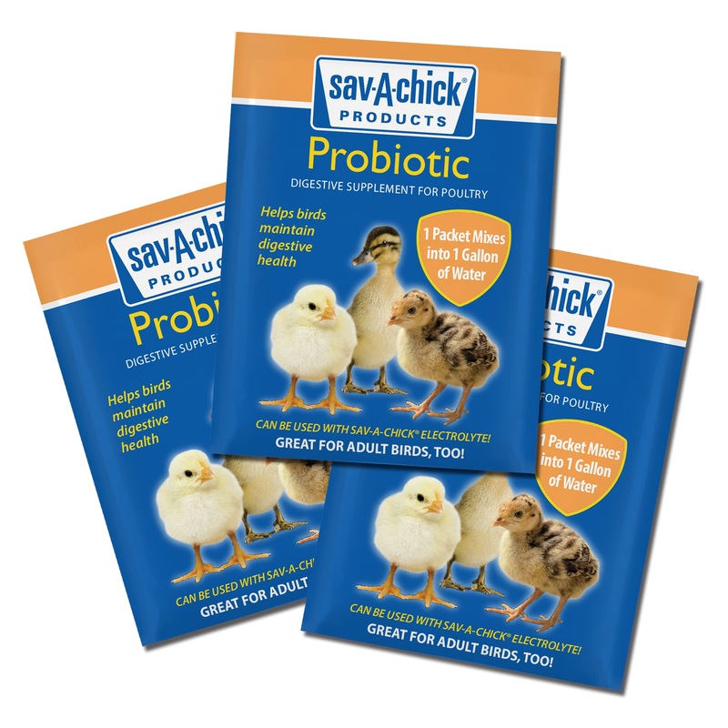 Sav-A-Chick Probiotic Supplement | 1 strip (3 – 0.17 oz packets)