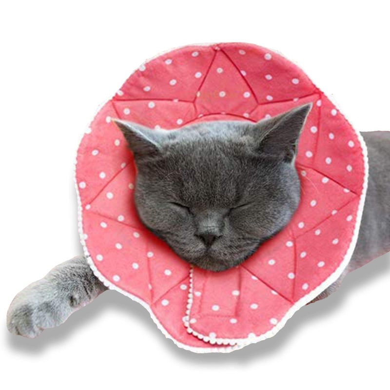 SunGrow Cat Cone Collar Soft, Pet Recovery Elizabethan E Collar Soft Neck Cone to Stop Licking for Cats & Kittens After Surgery, Cat Surgical Recovery Suit for Wound Cover, Puppy Dog & Rabbit Cone 9″ – 10.5″ Neck Size, Pink
