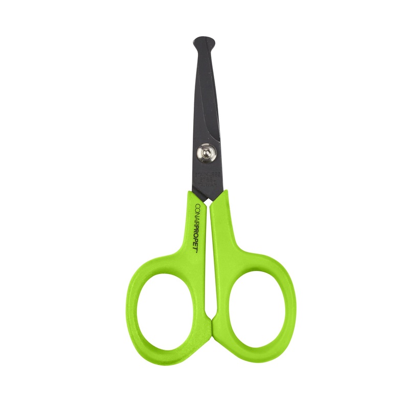 CONAIRPROPET 4″ Rounded Tip Scissors. Great for small breeds and fine detail around face, paws, ears 4 Inch Round-Tip Grooming Shears