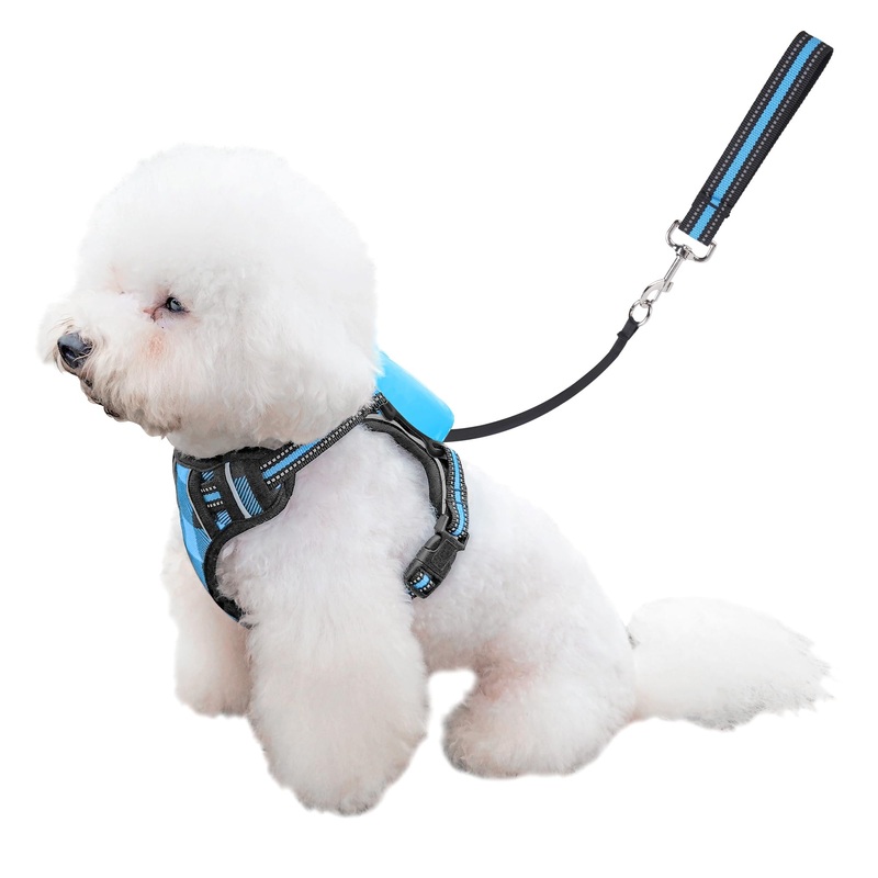 Dog Harness and Leash Set |Dog Vest Harness with 6 ft Multifunction Retractable Dog Leash | with One-Button Control,One-Handed Brake, Tangle Free (S) S