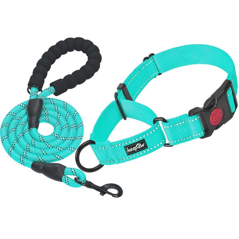 2 Packs Martingale Dog Collar with Quick Release Buckle Reflective Dog Training Collars for Small Medium Large Dogs L-Martingale collar Turquoise, Martingale Collar+Leash