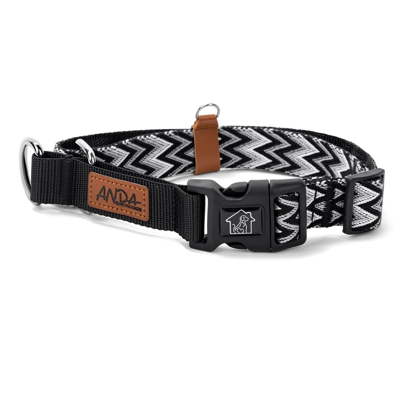 ANDA Martingale Dog Collar with Quick Release Buckle  Adjustable Training No Slip Dog Collar, Daily Use Walking and Training (Large) Large