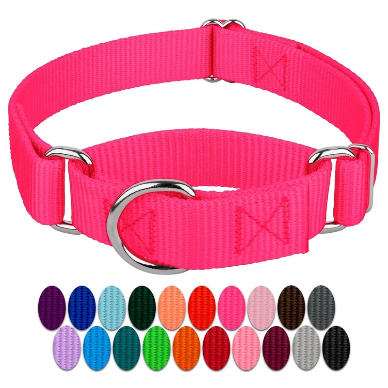 Country Brook Petz Martingale Dog Collar – Heavy-Duty Training Collar with No Buckle – Service Dog Collar for All Pups – Vibrant, Colorful Collection – Medium, Hot Pink Medium (Pack of 1)