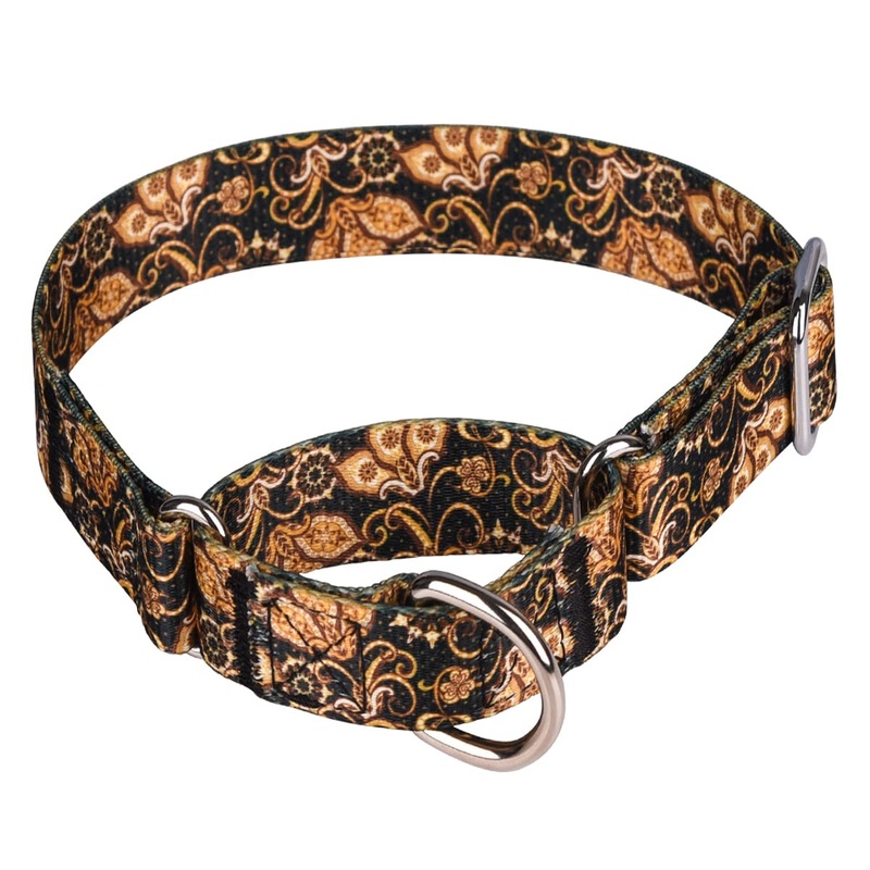 Heavy Duty Nylon Dog Collar, Adjustable Martingale Dog Collar for Walking Training Boy and Girl Dogs Medium Large Dogs (XL:53-62CM, Gold) XL:53-62CM