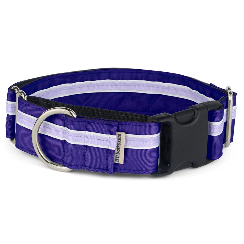 If It Barks – 1.5″ Martingale Collar for Dogs – Quick Snap Release Buckle – Adjustable – Nylon – Strong and Comfy – Ideal for Training – Made in USA – Medium, Grape Crush Medium w/Buckle