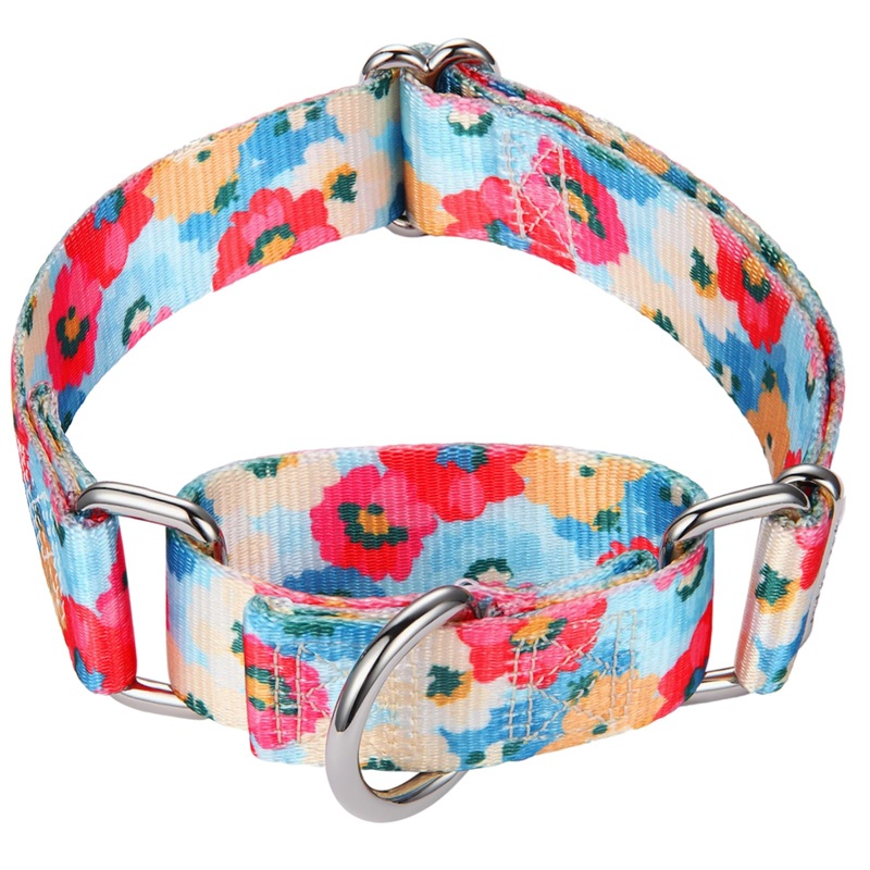 Martingale Collar for Dogs 1 inch Sturdy Durable Collars Medium and Large Breed for Walking Training Outdoor Daily Use Impression of Blooms M:14″-21″