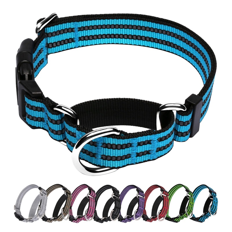 Martingale Dog Collar, Adjustable Nylon Reflective Collar with Quick Release Buckle. Tightens When Dog Pull, Prevents Slipping Out-Helps with Strong pullers-Increase Control-(Blue M) Blue Medium
