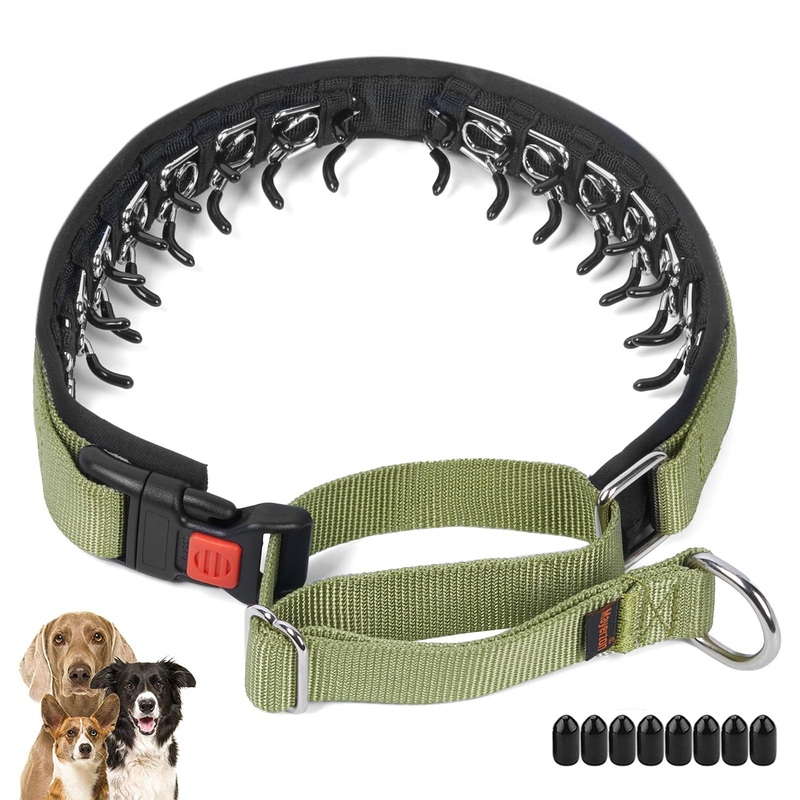 Mayerzon No Pull Dog Collar, Martingale Collar for Small Medium Large Dogs, Dog Anti Pull Collar with Buckle and Heavy Duty Nylon for Walking Training Hunting, Safe and Easy to Use Medium,2.5mm,20-Inch,14.5-18.5″Neck Green
