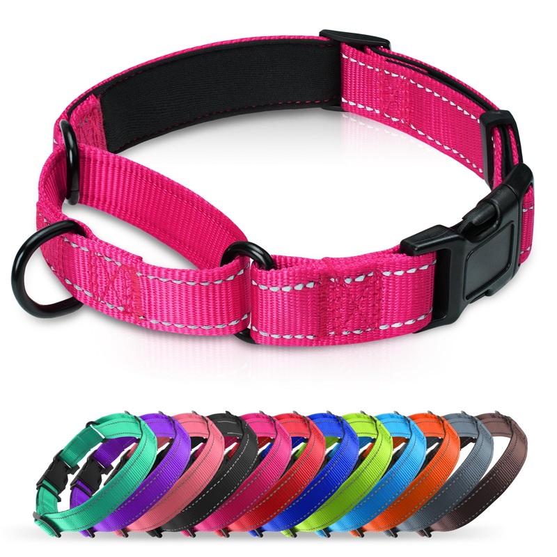 Padded Martingale Collar for Dogs | Neoprene Martingale Dog Collars | Reflective Nylon Martingale Collar | Adjustable Dog Martingale for Small Medium and Large Dogs Large(pack of 1) Hot Pink