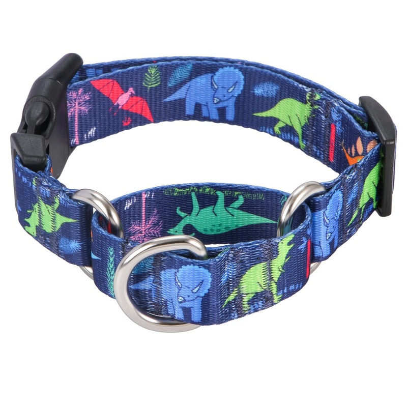 Rhea Rose Dog Martingale Collar with Quick Release Buckle, Adjustable Soft Escape Proof collar, Training collar, Dinosaur Patterns, Medium