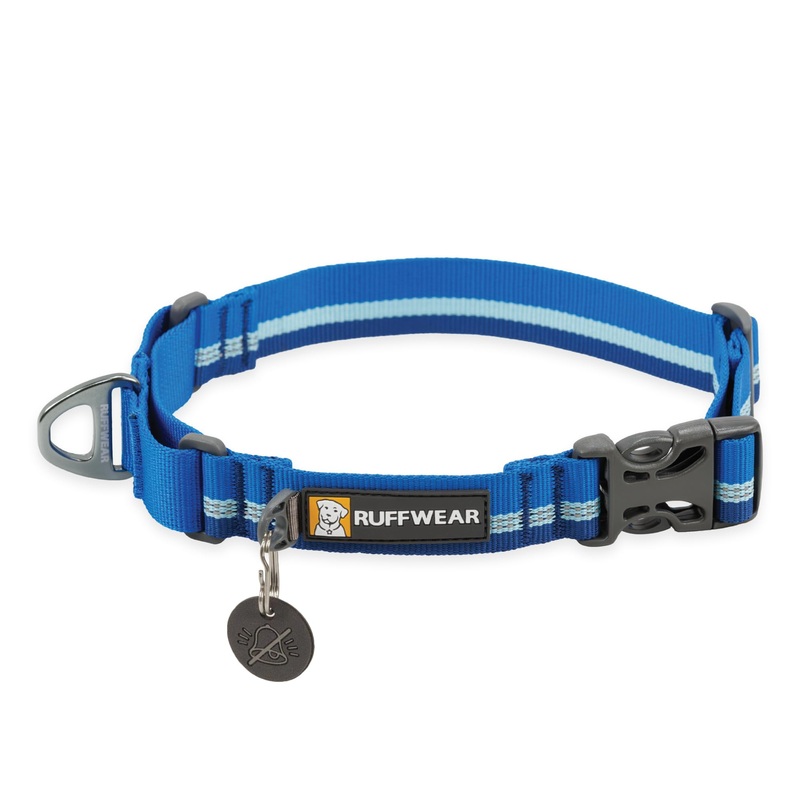 Ruffwear, Web Reaction Dog Collar, Martingale Collar for On-Leash Walking, Blue Pool, 14″-17″ 14″-17″