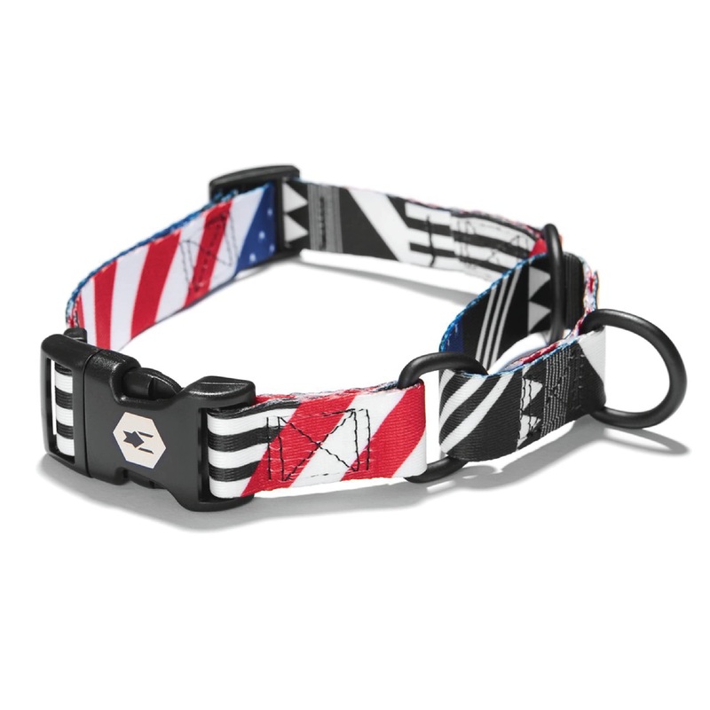 Wolfgang Premium Martingale Dog Collar for Small Medium Large Dogs, Made in USA, PledgeAllegiance Print, Large (1 Inch x 18-22 Inch) Large (1 Inch x 18-22 Inch)