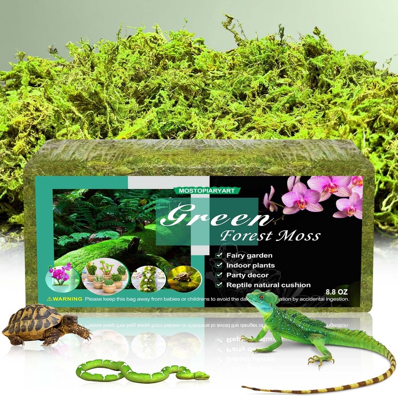 8.8 OZ Sphagnum Moss for Reptiles, 30 Quarts, Plants and Terrariums, Peat Moss Bedding for Leopard Geckos, Ball Pythons and More, Green (250g) MTA-12