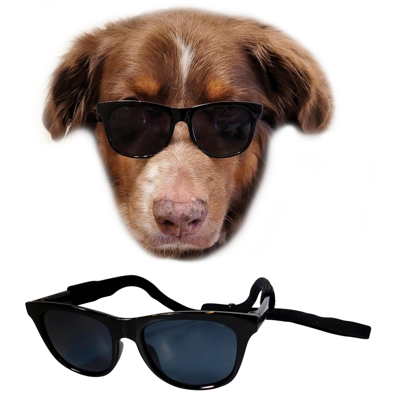 G006 Dog Medium breeds 20-40 lbs Pet Cat 80s Costume Prop Sunglasses (Black) Black
