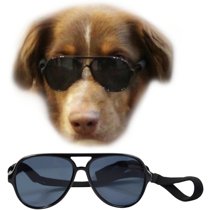G010 Dog pet Costume Aviator Sunglasses for Medium Breeds 20-40 lbs (black) black