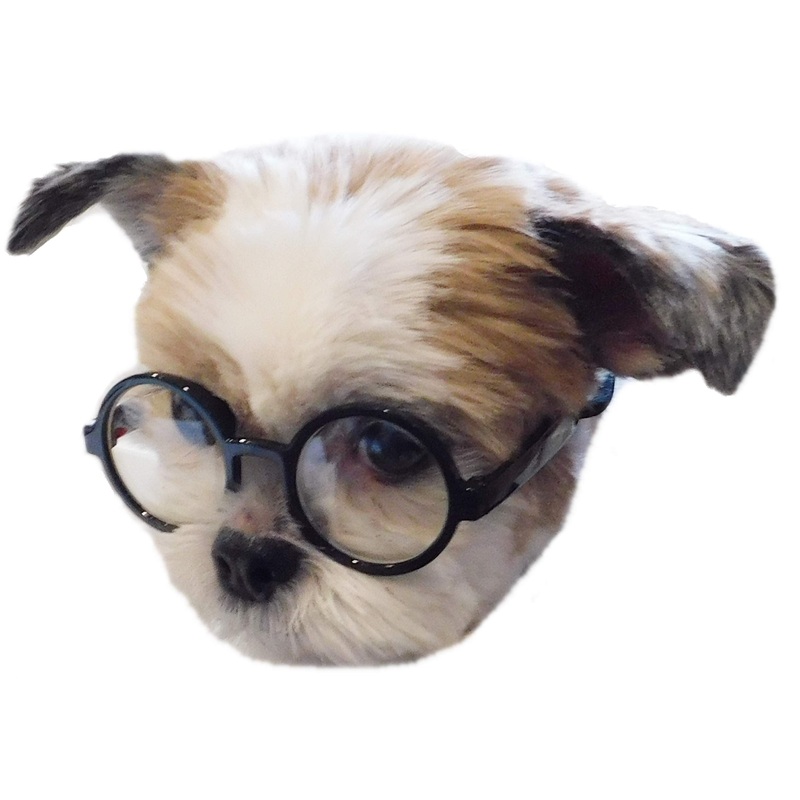 G017 Dog Cat Pet Round Costume Glasses Goggles for Small Breeds up to 15lbs (Black-clear lens) Black-clear lens